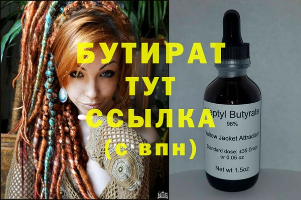 шишки Абаза