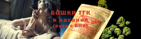 шишки Абаза