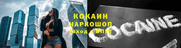 шишки Абаза