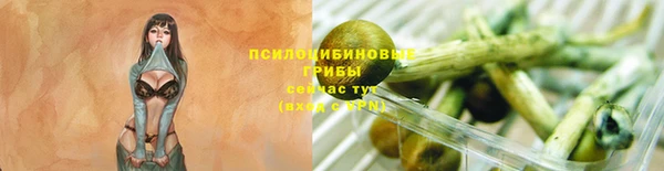 соль ск Абинск