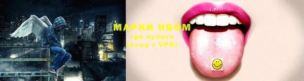 шишки Абаза