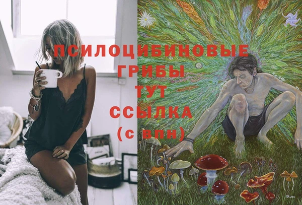 соль ск Абинск