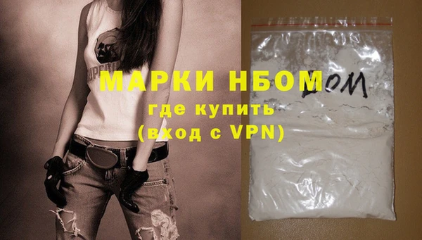 шишки Абаза