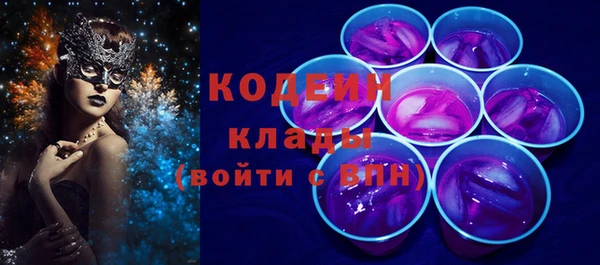 шишки Абаза