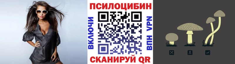 блэк спрут ССЫЛКА  Алапаевск  Псилоцибиновые грибы Magic Shrooms  цена наркотик 
