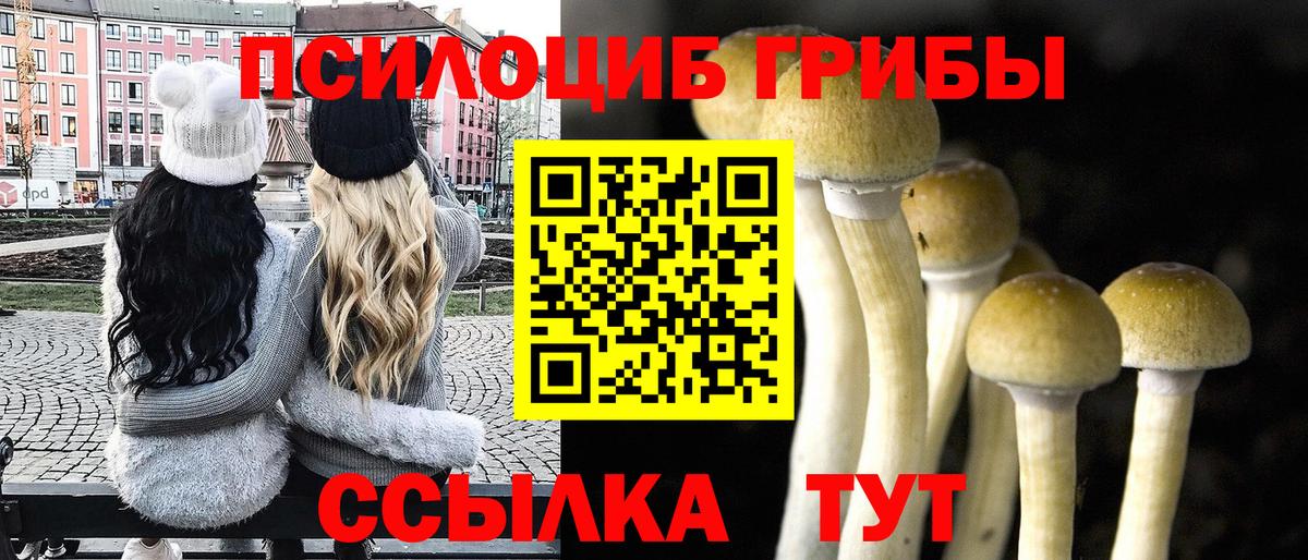 Псилоцибиновые грибы MAGIC MUSHROOMS Алапаевск